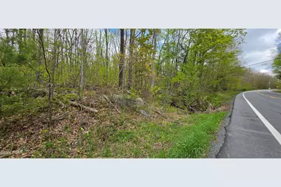 Lot 23.21 State Route 97, Narrowsburg, NY, NY 12764 - Photo 26