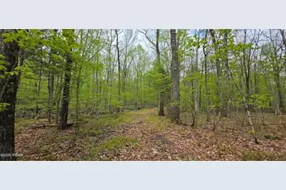 Lot 23.21 State Route 97, Narrowsburg, NY, NY 12764 - Photo 4