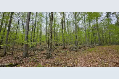 Lot 23.21 State Route 97, Narrowsburg, NY, NY 12764 - Photo 6