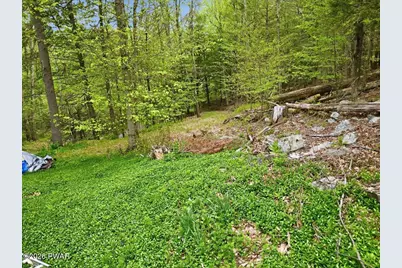 103 Forever Green Road, Lakeville, PA 18438 - Photo 54