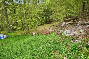 103 Forever Green Rd, Lakeville, PA 18438 - Photo 54