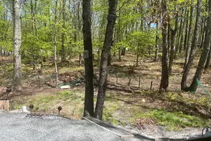 201 Shohola Pkwy N, Shohola, PA 18458 - Photo 4