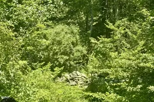 Lot 1 Owego Turnpike, Hawley, PA 18428 - Photo 1