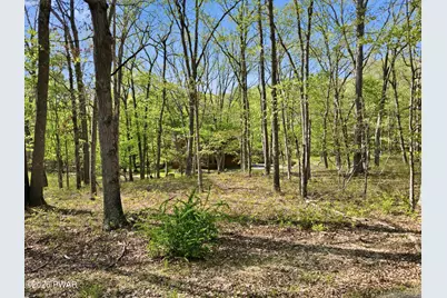 121 Dogwood Lane, Canadensis, PA 18325 - Photo 68