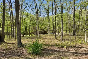 121 Dogwood Ln, Canadensis, PA 18325 - Photo 68