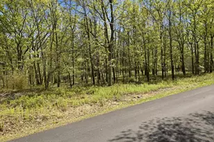 148 Mallard Path, Bushkill, PA 18324 - Photo 32
