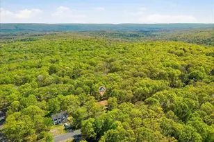 148 Mallard Path, Bushkill, PA 18324 - Photo 36