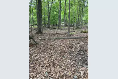 1 E 13 E Shore Drive, Hawley, PA 18428 - Photo 8