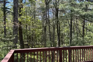 116 Beach Ln, Dingmans Ferry, PA 18328 - Photo 46