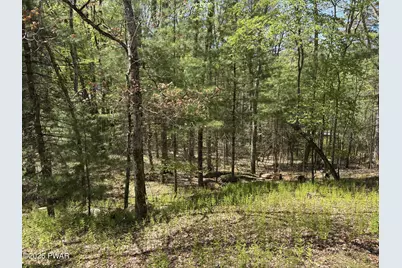116 Beach Lane, Dingmans Ferry, PA 18328 - Photo 48