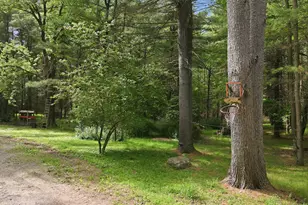 120 Coutts Point Dr, Paupack, PA 18451 - Photo 54