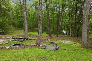 124 Pine Tree Rd, Shohola, PA 18458 - Photo 54