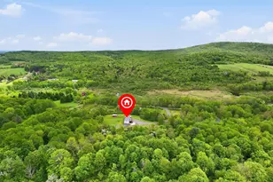 15 De Maio Dr, Equinunk, PA 18417 - Photo 56
