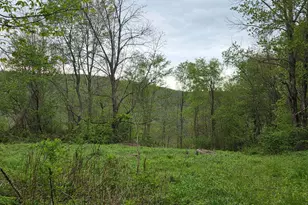 33 Bucks Rd, Susquehanna, PA 18847 - Photo 2