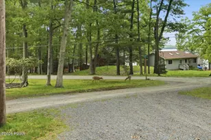 128 Terrace Rd, Tafton, PA 18464 - Photo 92