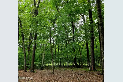 [Address not provided], Lords Valley, PA 18428 - Photo 22