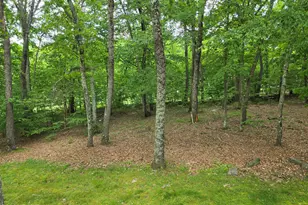 [Address not provided], Lords Valley, PA 18428 - Photo 24