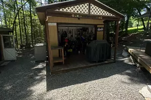 86 Spruce Ln, Equinunk, PA 18417 - Photo 20