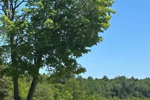 86 Spruce Ln, Equinunk, PA 18417 - Photo 6