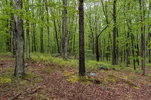 604 Shohola Ln, Shohola, PA 18458 - Photo 10