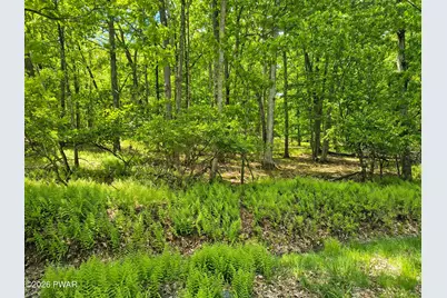329 Oak Hill Road, Hawley, PA 18428 - Photo 6