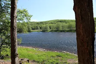 2194 River Rd, Damascus, PA 18415 - Photo 36