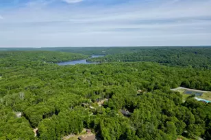 78 Orion Way, Lake Ariel, PA 18436 - Photo 46