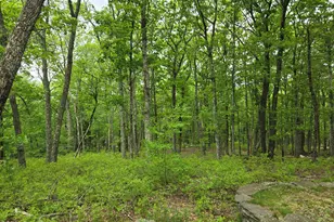 804 Fetlock Ct, Lords Valley, PA 18428 - Photo 16