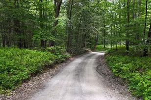 241 Dillontown Rd, Equinunk, PA 18417 - Photo 36