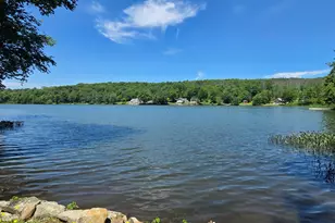 52 S Shore Rd, Pleasant Mount, PA 18453 - Photo 2