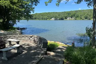 52 S Shore Rd, Pleasant Mount, PA 18453 - Photo 16
