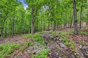 113 Oriole Pl, Lackawaxen, PA 18435 - Photo 80