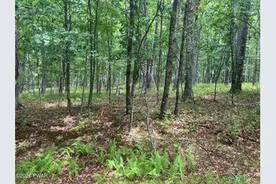 Lot 13 Ledgecrest Road, Hawley, PA 18428 - Photo 4