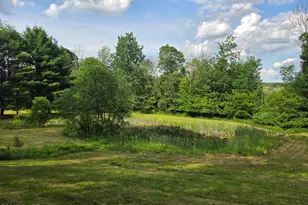 1358 Great Bend Turnpike, Pleasant Mount, PA 18453 - Photo 42