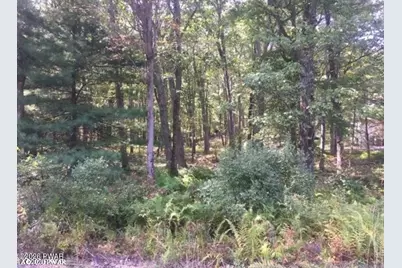 177 Forest Ridge Drive, Hawley, PA 18428 - Photo 4