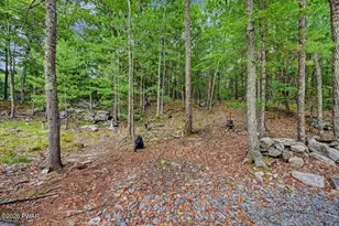 141 Paper Birch S, Tafton, PA 18464 - Photo 68