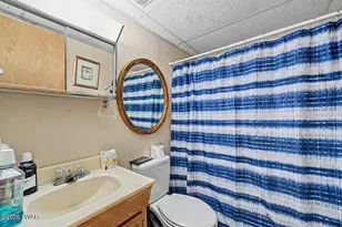 141 Paper Birch S, Tafton, PA 18464 - Photo 56