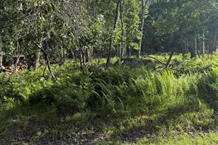 Lot 74 Bear Dr, Bushkill, PA 18324 - Photo 1
