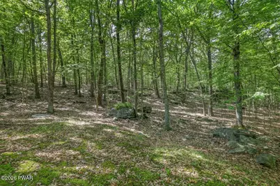 158 Saunders Drive, Bushkill, PA 18324 - Photo 44