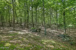 158 Saunders Dr, Bushkill, PA 18324 - Photo 44