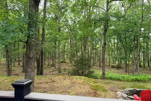 117 Hackney Ct, Milford, PA 18337 - Photo 30