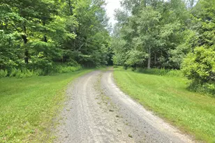 212A Dixon Valley Rd, Pleasant Mount, PA 18453 - Photo 8