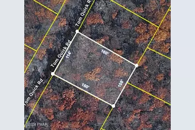 Tom Quick Road, Dingmans Ferry, PA 18328 - Photo 2
