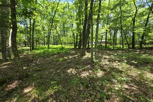 Lot 17 Woodledge Hills Dr, Hawley, PA 18428 - Photo 1