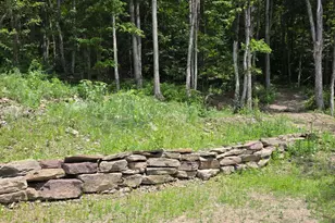 99 Sherman Rd, Susquehanna, PA 18847 - Photo 66