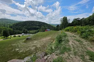 99 Sherman Rd, Susquehanna, PA 18847 - Photo 70