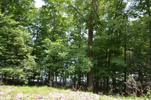 181 Marina Wy, Greentown, PA 18426 - Photo 32