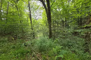 570 Pleasant Valley Rd, Starrucca, PA 18462 - Photo 12