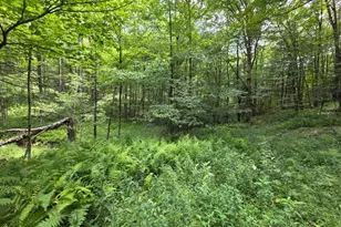 570 Pleasant Valley Rd, Starrucca, PA 18462 - Photo 20