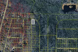 Lot Cp900 Narragansett Trail, Albrightsville, PA 18210 - Photo 1